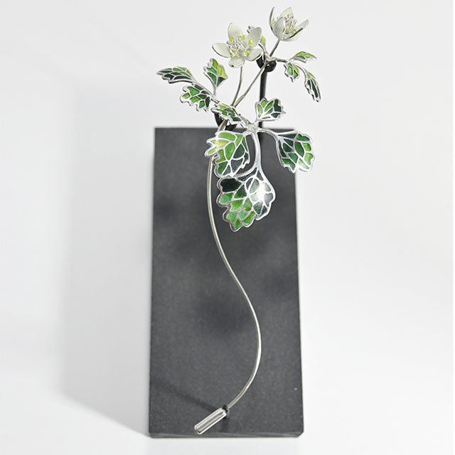 第56回日本七宝作家協会展 ＜佳作＞戸矢朱里「トウゴクサバノオ」