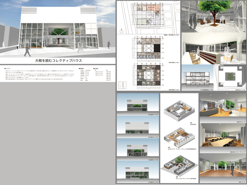 大樹を囲むコレクティブハウス　卒業制作（建築計画）　3年次