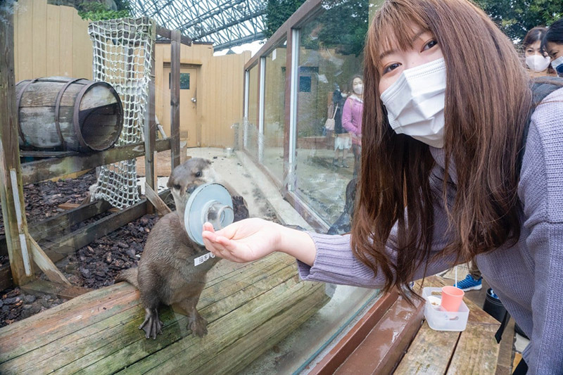 【ビジュアルデザイン科】八景島シーパラダイスへ日帰り研修に行ってきました！